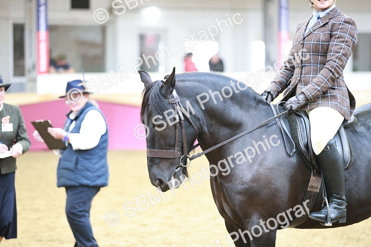 SBM_08878 - Class 12R - Regional Ridden Pre-Vet