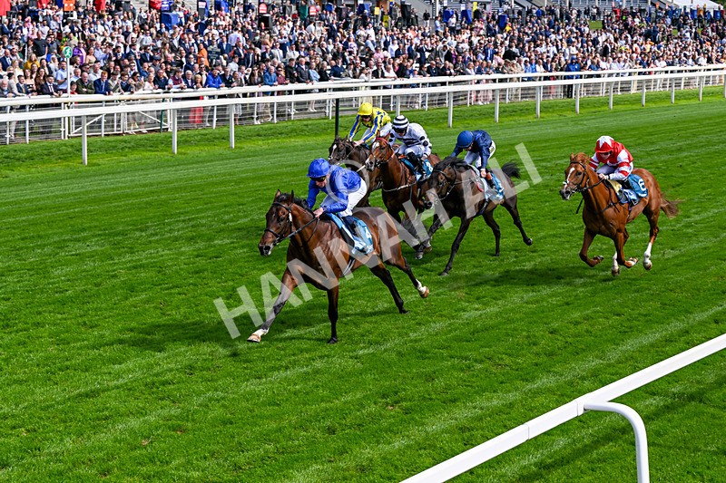 130626-Race 5-Inner City Blues-1791 - Race 5 16.15pm Tomahawk Restaurants Supporting Macmillan EBF Maiden Stakes