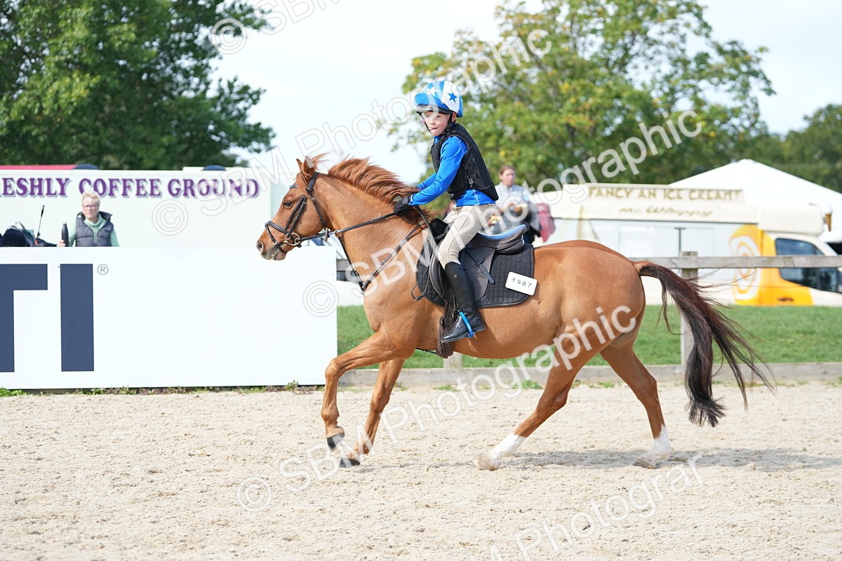 SBM_18053 - J58 - Clear Round 50cm