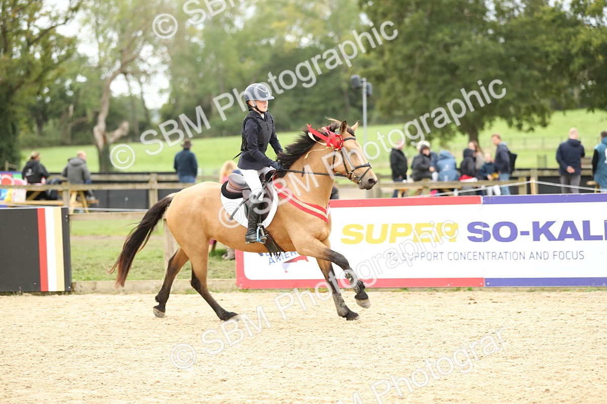 SBM_63205 - Supreme championship 75cm 80cm