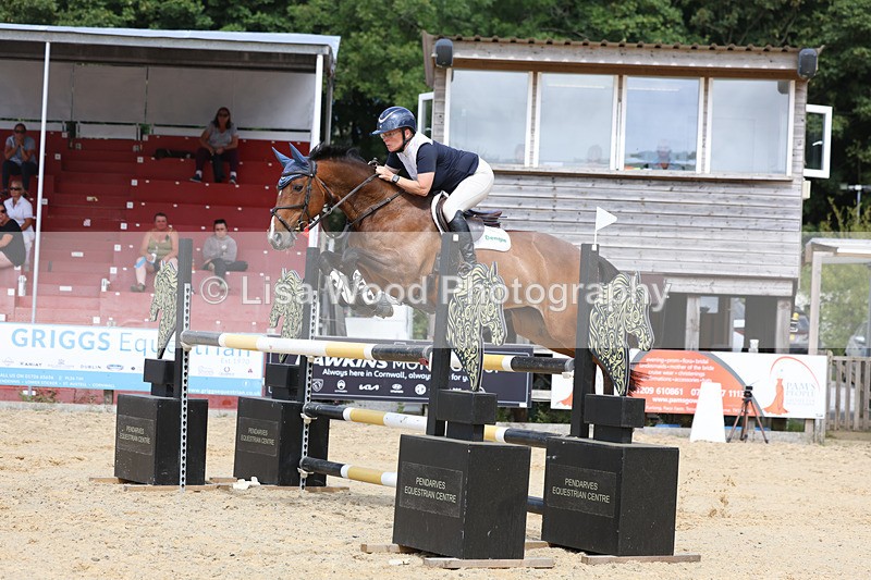 3E7A1900 - Class 9: Senior Foxhunter/1.20 open