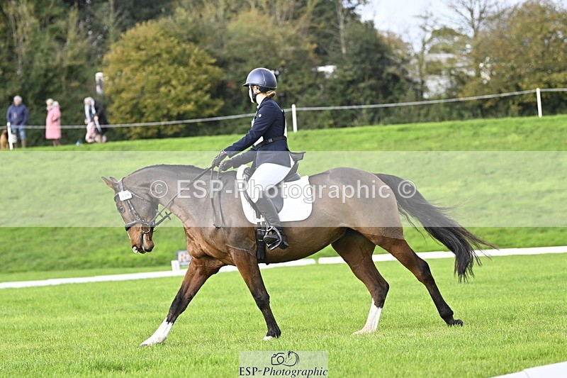 251023A-103713-02877 - F-406-Georgie.Down