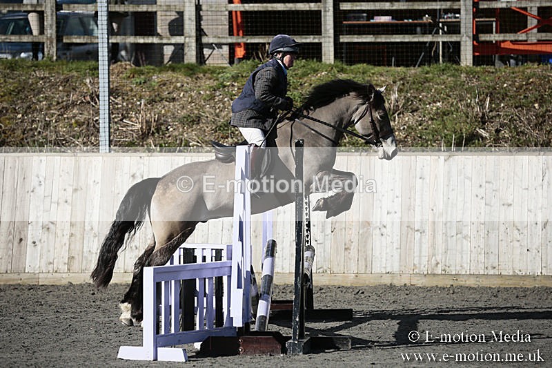 BVRC SJ 170319 20 - Bourne Valley Riding Club Showjumping 17/03/19
