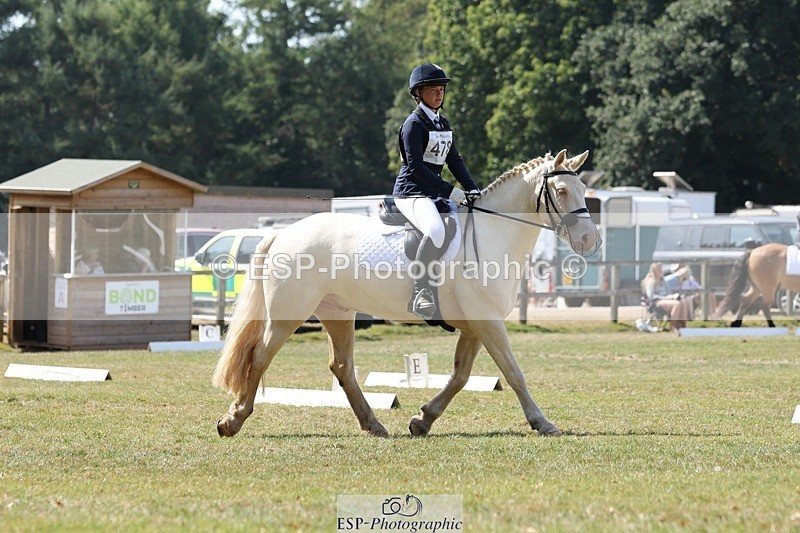 250823A-122540-29778 - Arena C