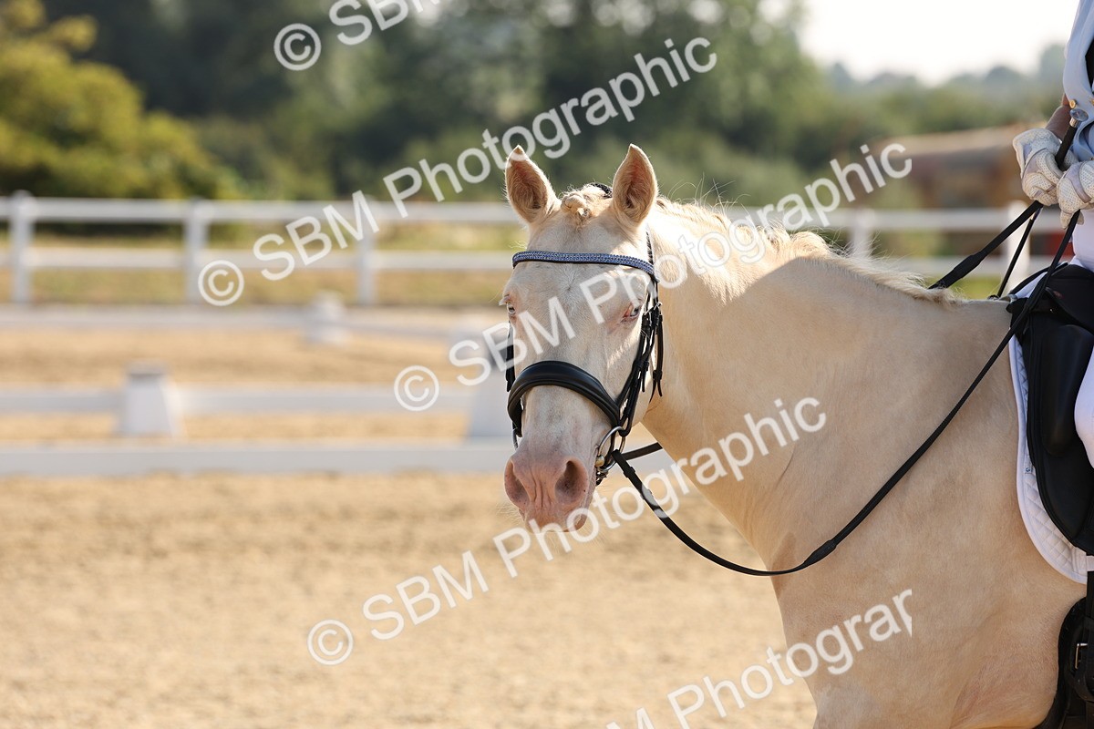 SBM_002835 - Prelim 4 - Warm Up