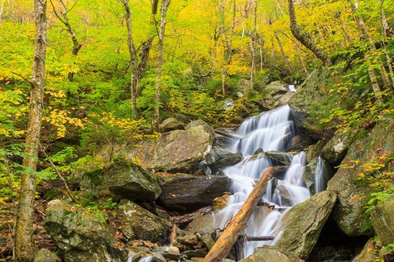 Falls on Hell Brook Trail - Vermont & Long Trail