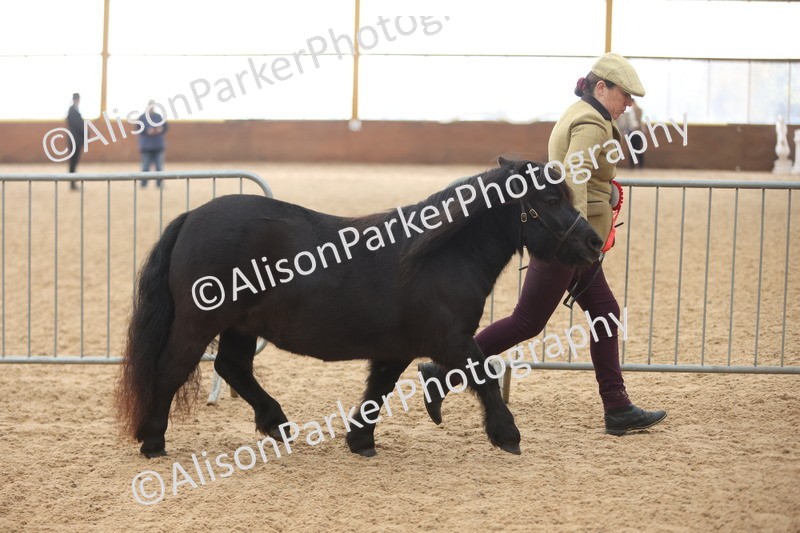 20251109-0122 - Championship