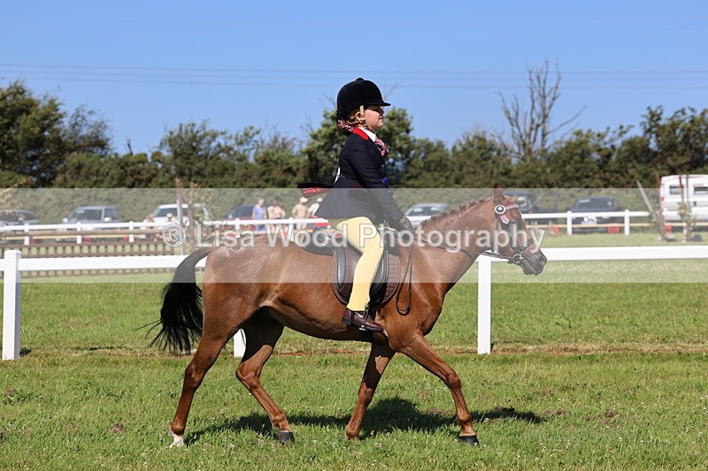 IMG_1839 - Plaited Mini Ridden Championship