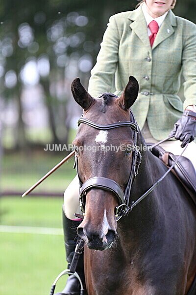 SIAL6717 - Ring 1 & 3