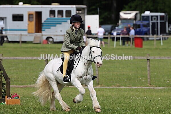 IMG_3031 - Working Hunter