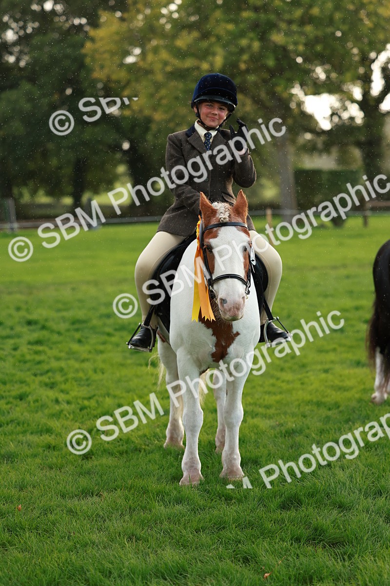 SBM_28906 - S7 - Novice & Newcomer Ridden Pony