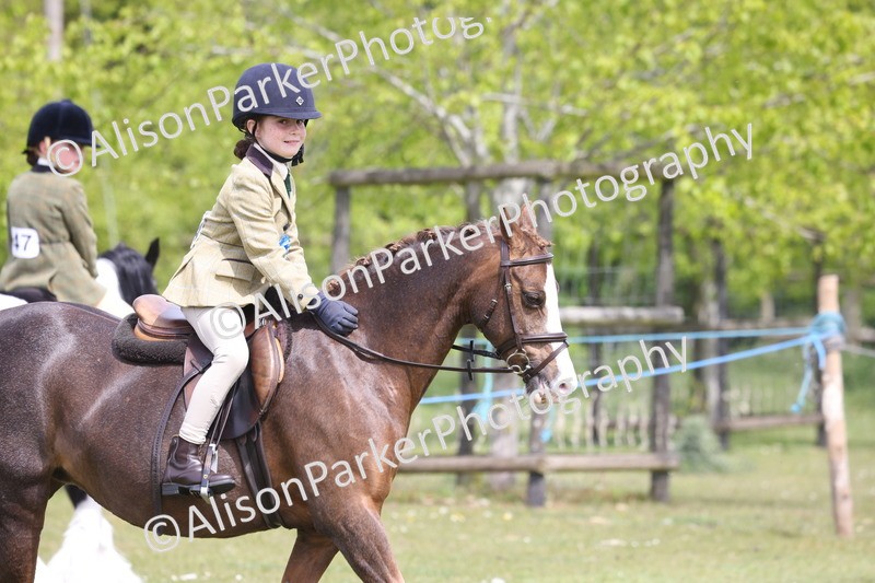 20260426-4068 - Small Pony Championship
