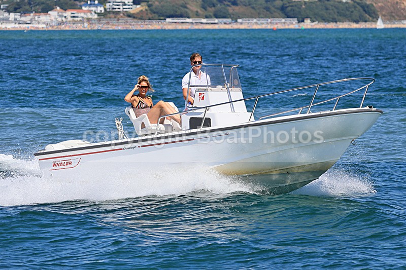 180805 PEQUOD - BOSTON WHALER 1Y3A6990 - RIBs, Tenders, Dories, Dinghies
