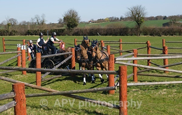 _DSC8886 - Ashfields Carriage & Polo Club