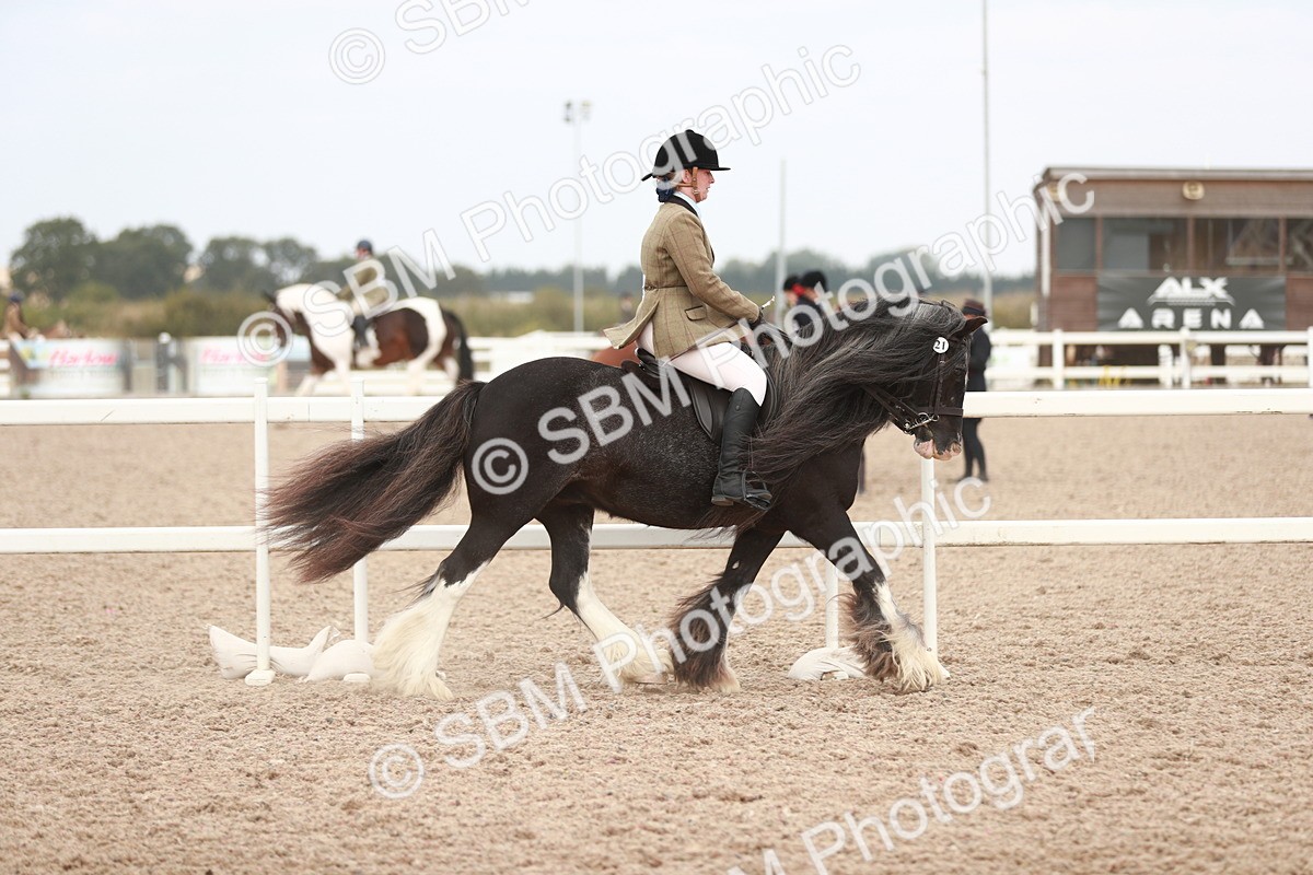 SBM_16592 - Class 214 Ridden Cob