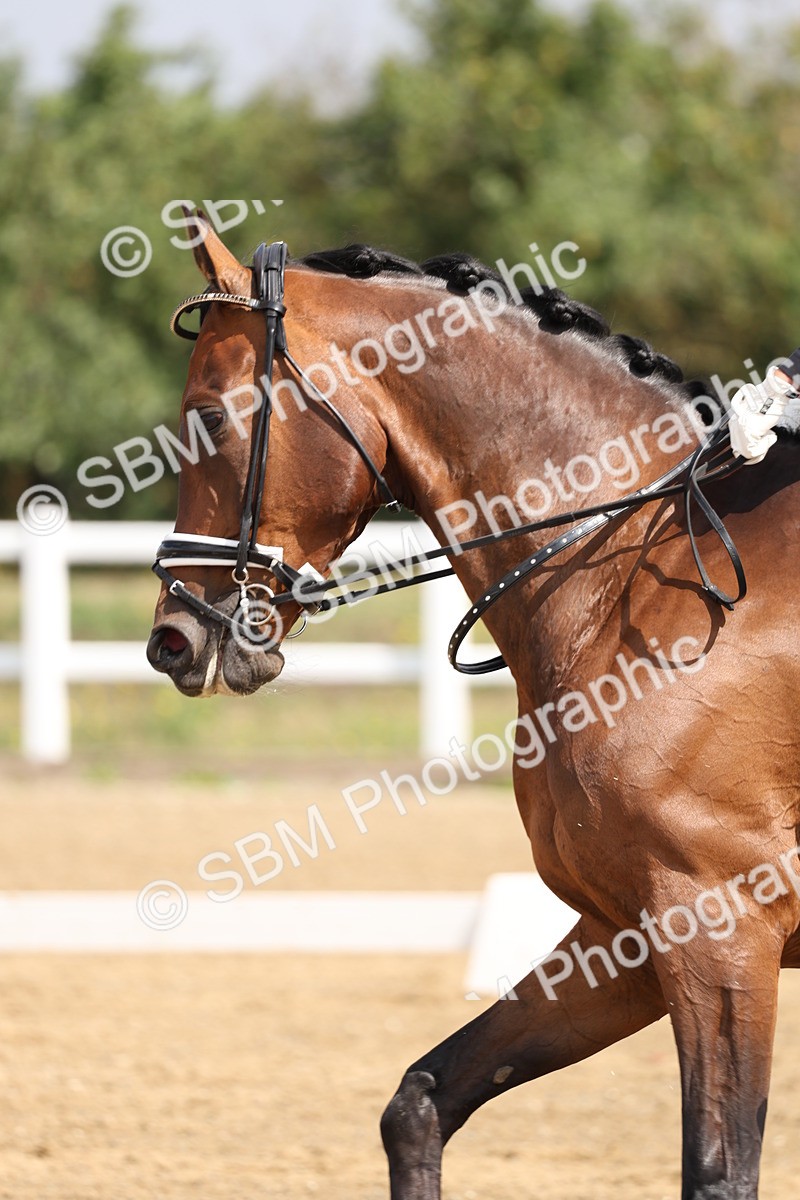 SBM_005873 - Class 6 - Novice 6 - 10.26-11.29