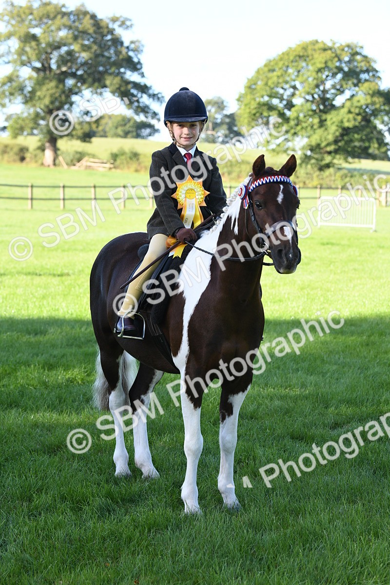 SBM_34103 - S16 - Condition & Turnout - Ridden