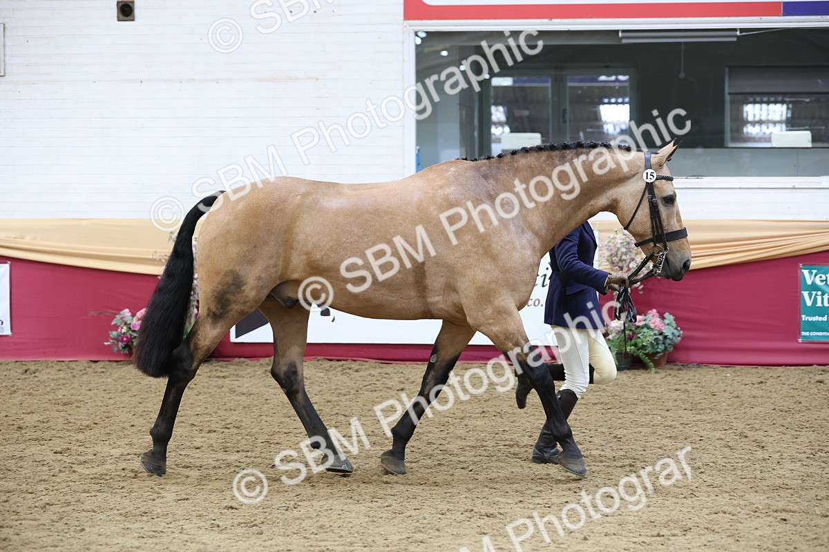 SBM_23657 - class 906 - Supreme Final - Ridden Pre Vet