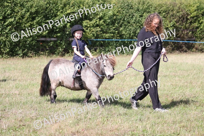 20260906-2750 - Class 25 - Absolute Beginners Pony