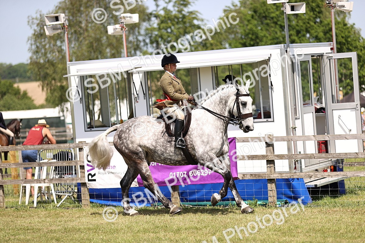 SBM_16225 - Class 79-80 - LIHS BSHA Rising Star Ridden Hunter