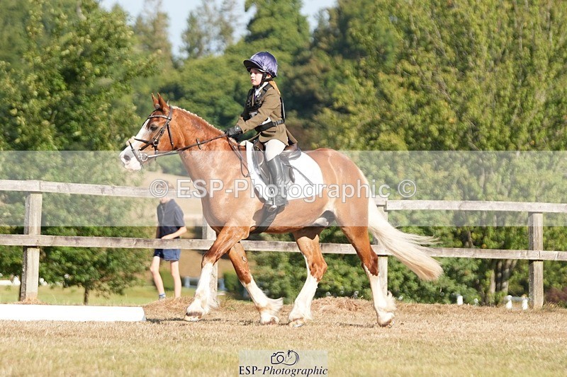 250823A-092716-25671 - Arena A