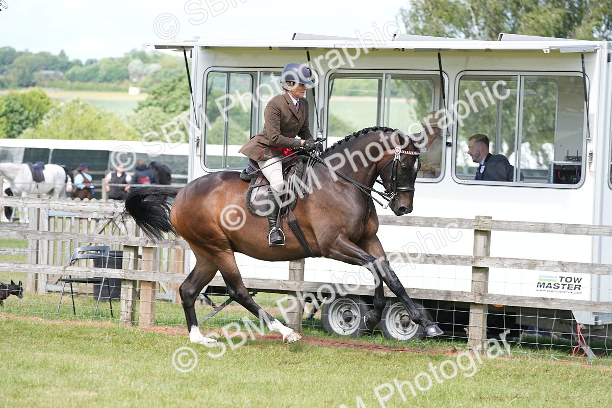 SBM_16298 - Class 105-106 - RIHS Riding Horses