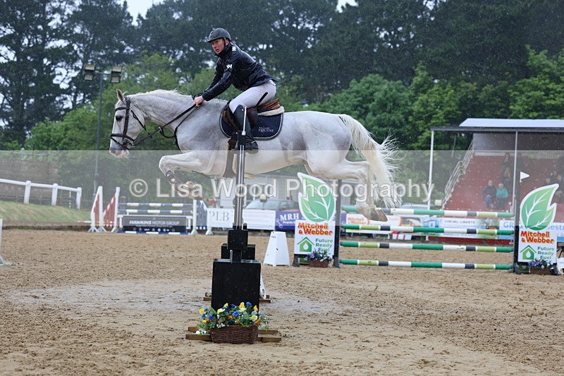 3E7A7333 - Class 8: Senior Foxhunter/1.20 open