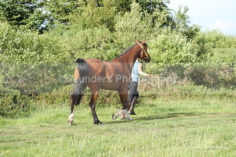 SPXX0132 - Friday vetting