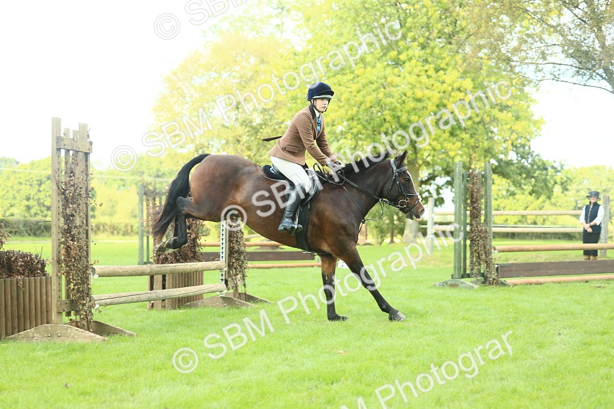 SBM_43010 - S30 - M&M Working hunter Pony