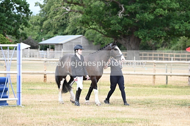 WJ6_4190 - Class 10 Coloured In-hand