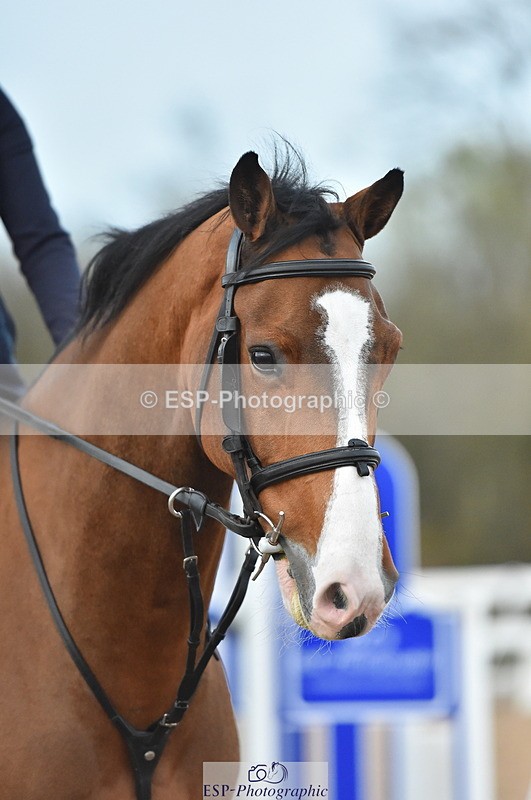 231111A-145346-02337 - Cls 14 Blue Chip 1.25m Winter Qualifier