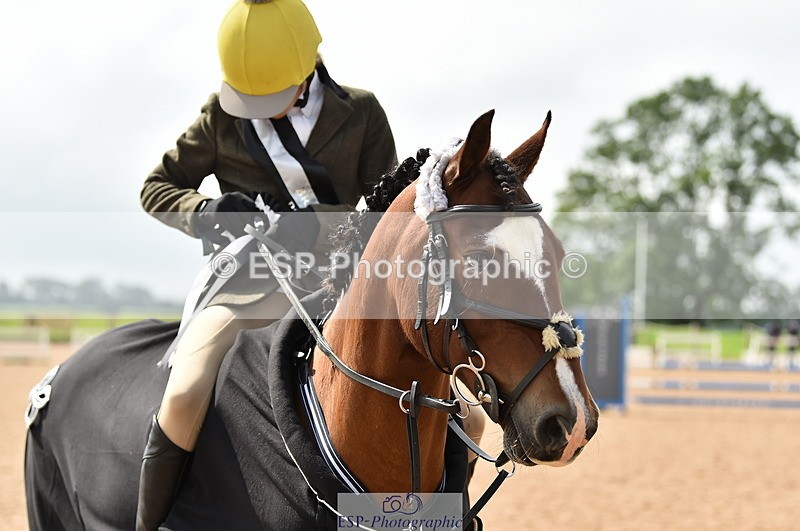 230902A-120310-00906 - Cls 2B Pony Small 80cm