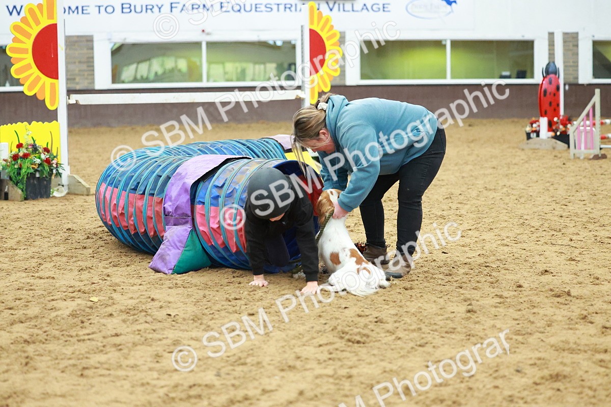 SBM_002543 - Class 3 - Horse & Hound (60cm)