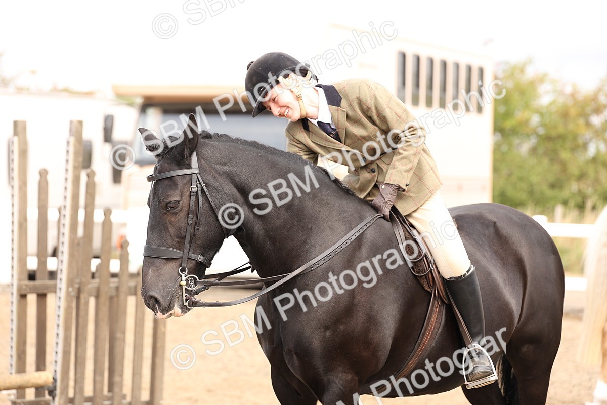 SBM_04300 - Class 54 - Riding Club Horse/Pony