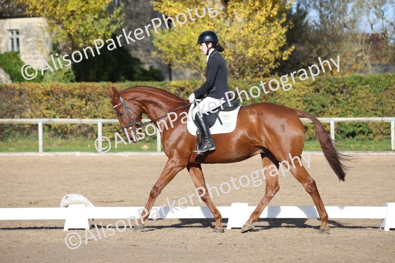 20251102-0588 - Class 4 - Novice 6