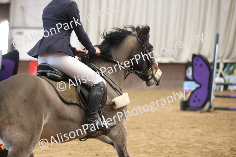 20260314-5478 - 80cm