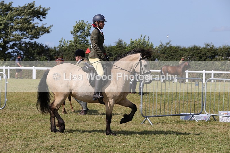 1X9A5527 - Class 38: NPS Novice Ridden Small and Large Breeds
