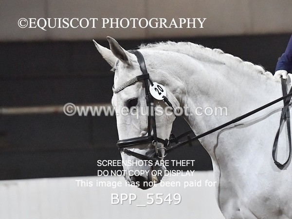 BPP_5549 - NOVICE TEST 4