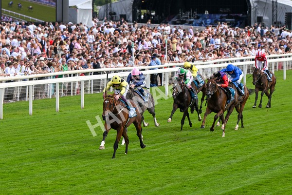280625-Race 4-Hankelow-0490 - Race 4 3.40pm Al Basti Equiworld Dubai Novice Stakes