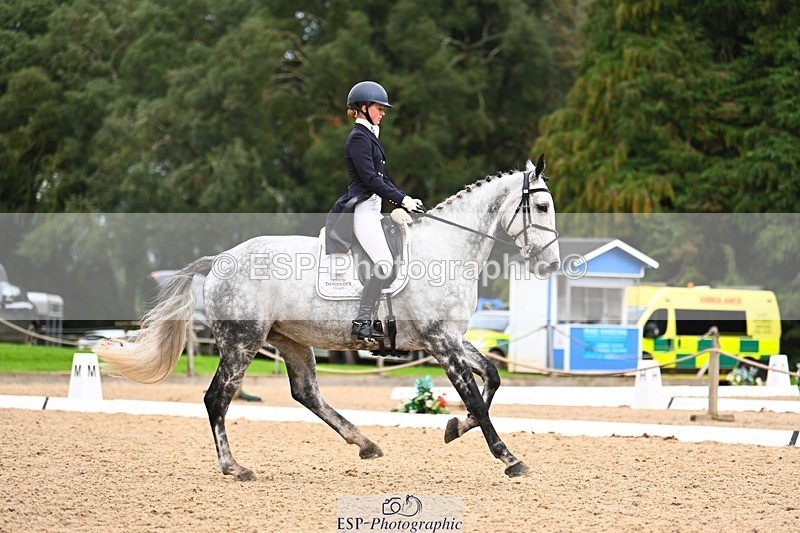 231020-165606-12428 - 316-I.ELLIE.JAY.BUMBLE-Henrietta.Ewell-DR