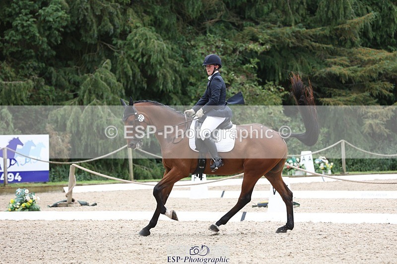 230812-115159-03883 - Cls 5 Novice Bronze 11.15 to 12.50 break