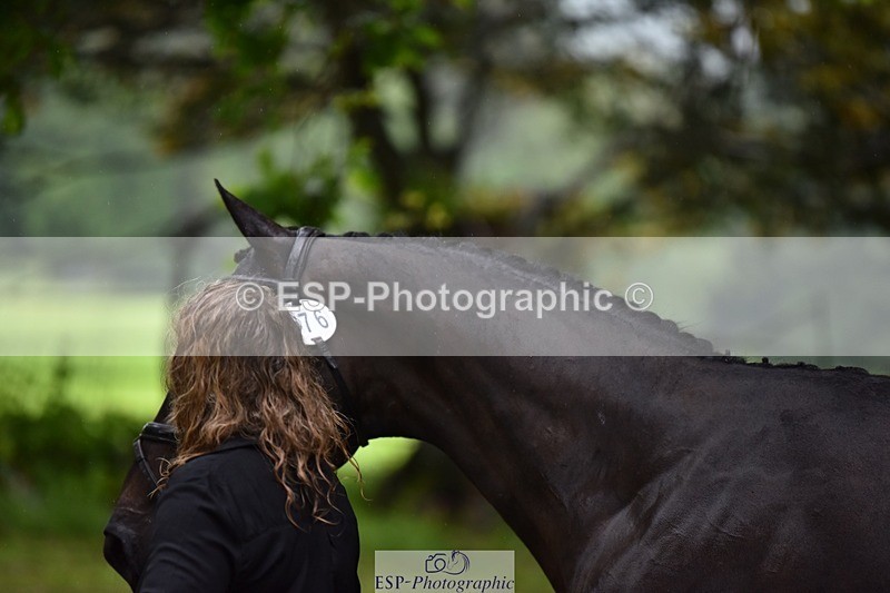 240522-153342-00432 - 376-STORM_BLUE_CURTIS-Phoebe_Buckley