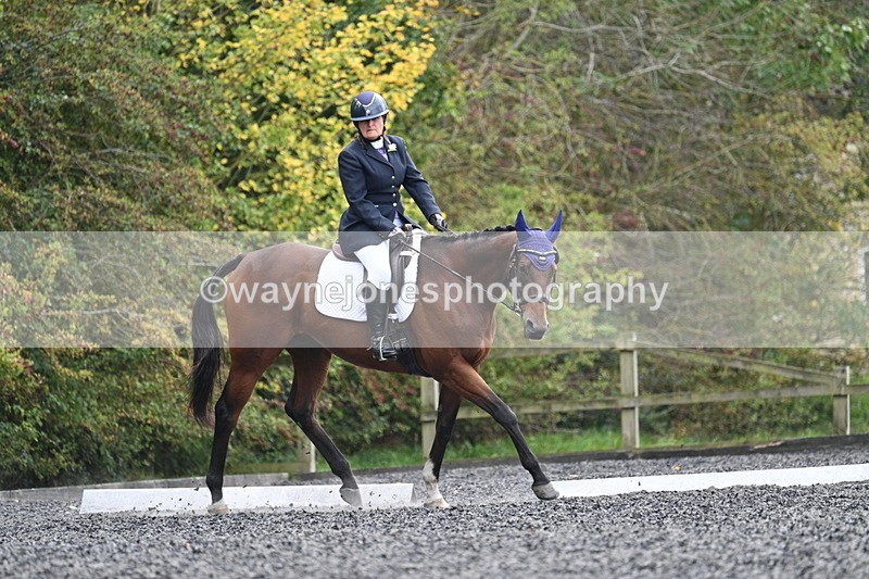 WJ7_6450 - Time 14:49 to 15:14