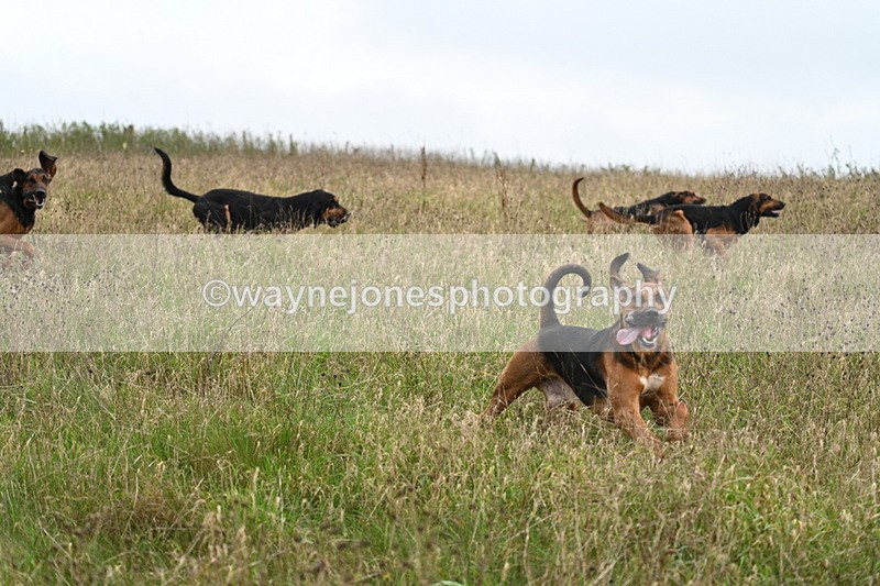 WJ7_9827 - Camera 1 & Last fence