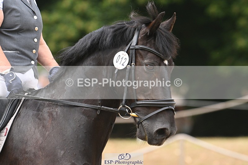 250719A-124010-04962 - 012-Alison.Andrews-Bercoed.Sambo