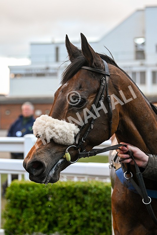 020224-Race 7-Letthedustsettle-9061 - Race 7