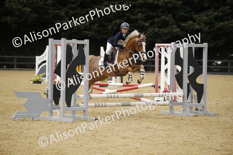 20250622-5932 - 60cm