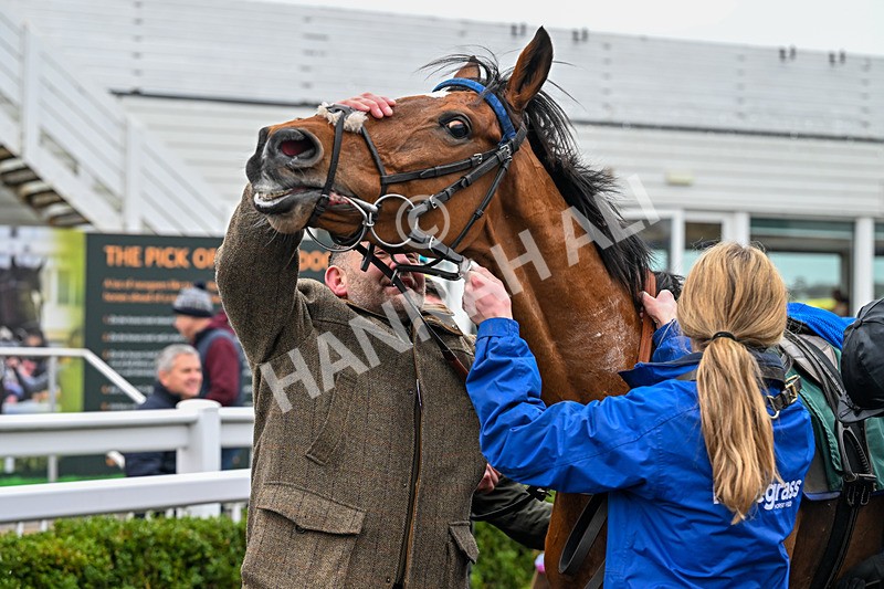 281225-Race 3-Supreme George-0534 - Race 3