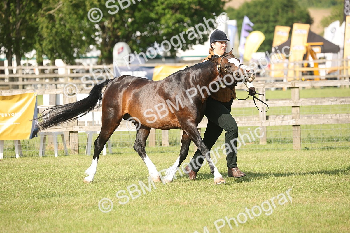 SBM_10382 - Class 33-38 - SSADL RIHS Qualifiers