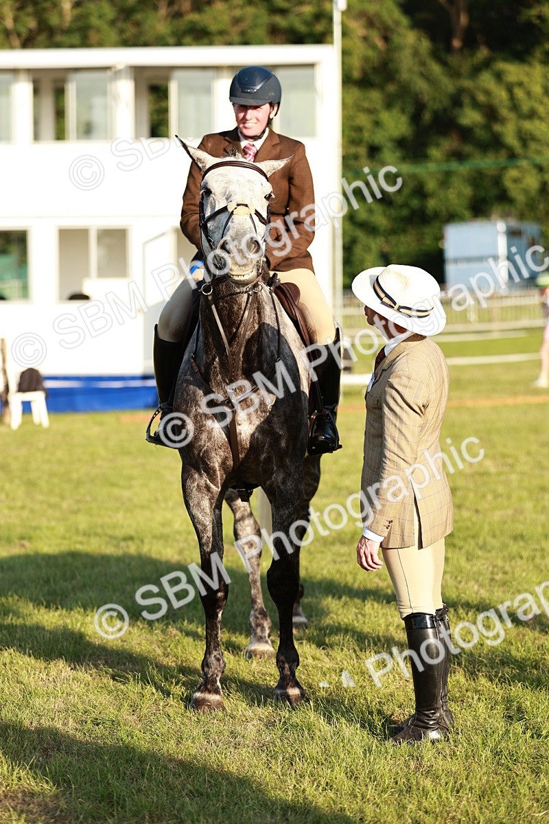 SBM_20566 - Class 117-119 - Sport Horse Working Hunter